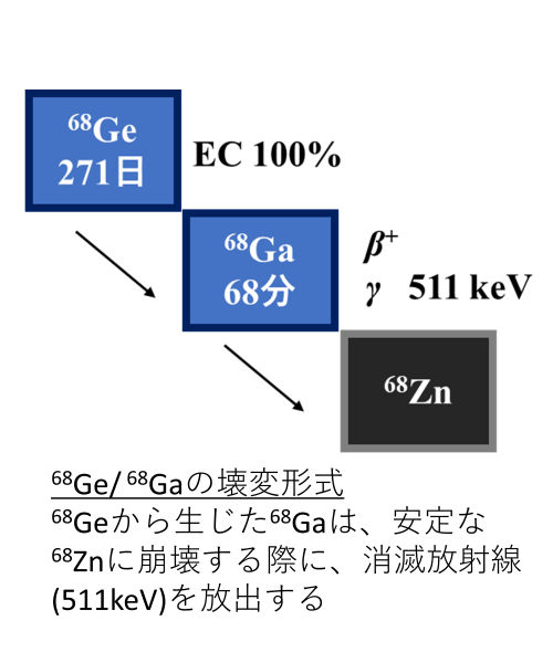 68Ge/68Gaジェネレータ