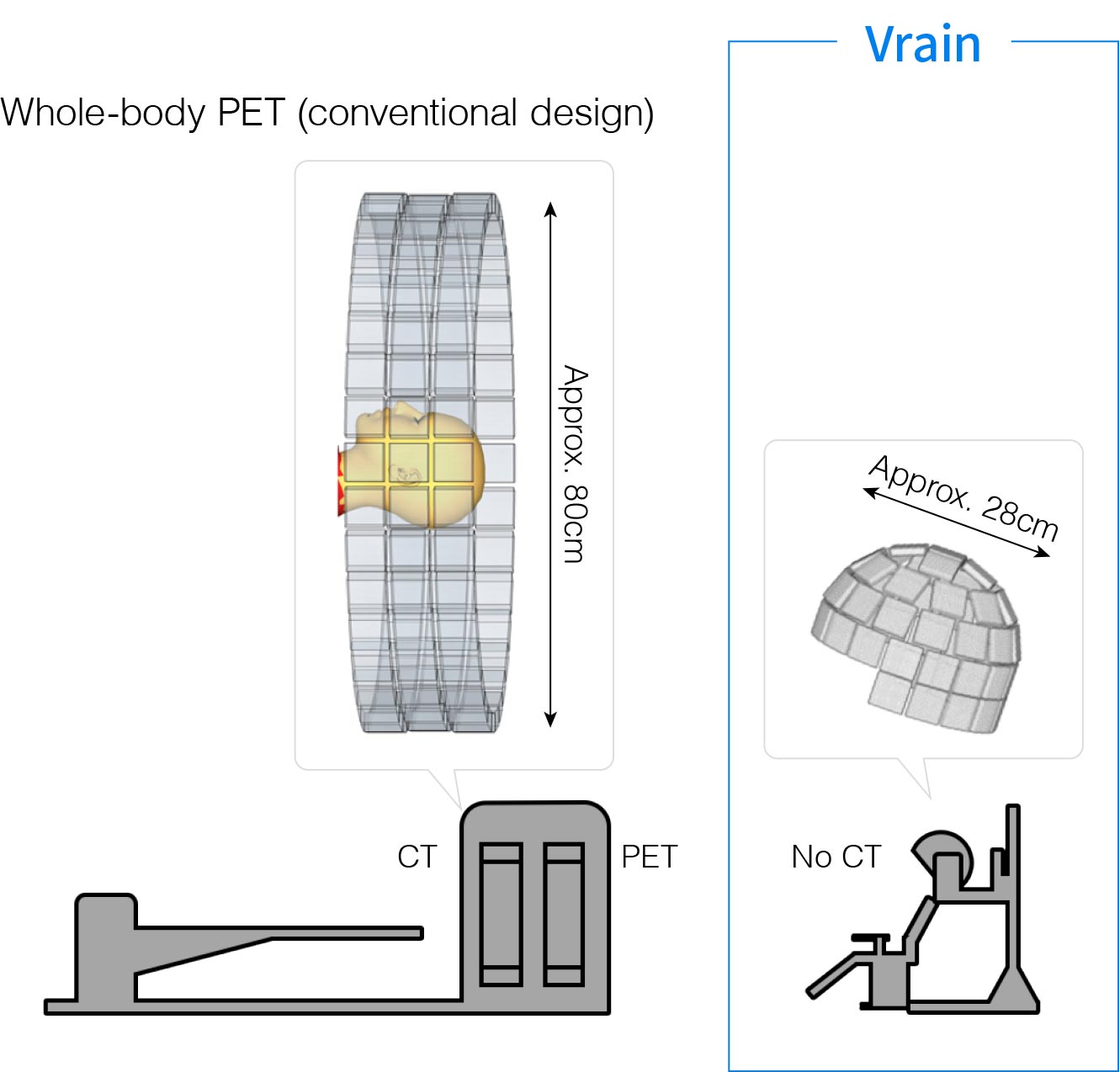 Vrain compared to a conventional whole-body PET in size