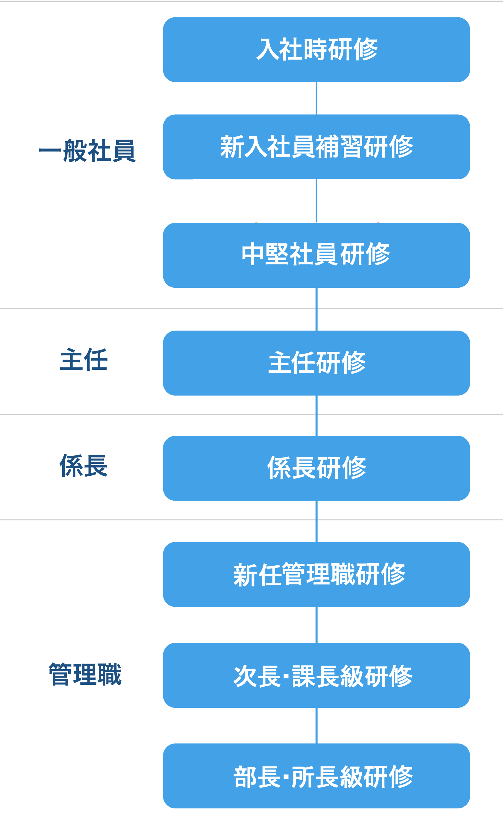 階層別教育
